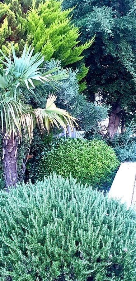 Apartmani Kramar Selce Εξωτερικό φωτογραφία