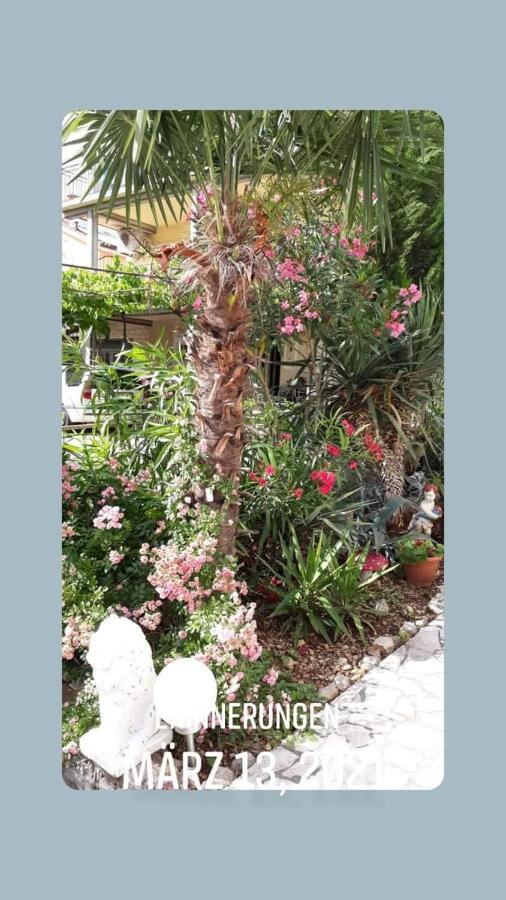 Apartmani Kramar Selce Εξωτερικό φωτογραφία